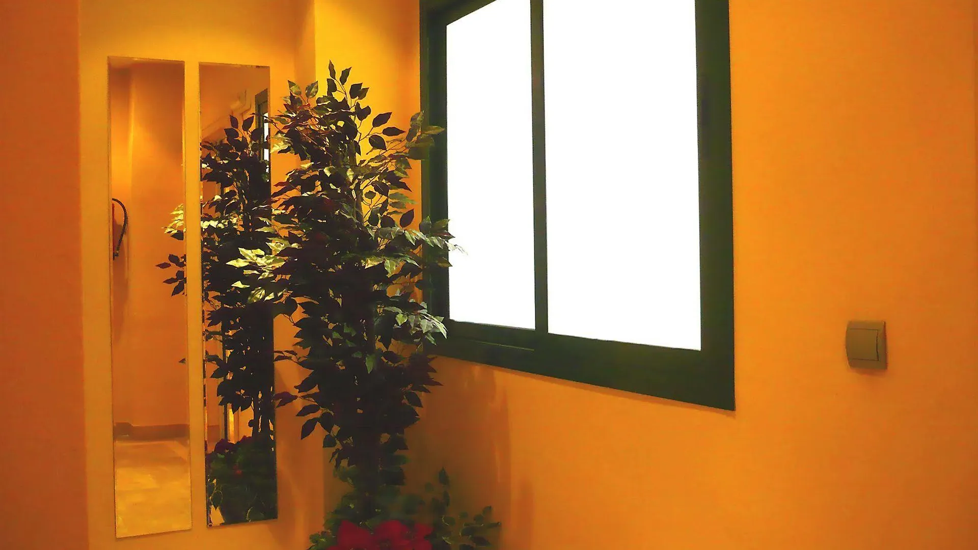 Apartamentos Suites Oficentro Málaga Apartment